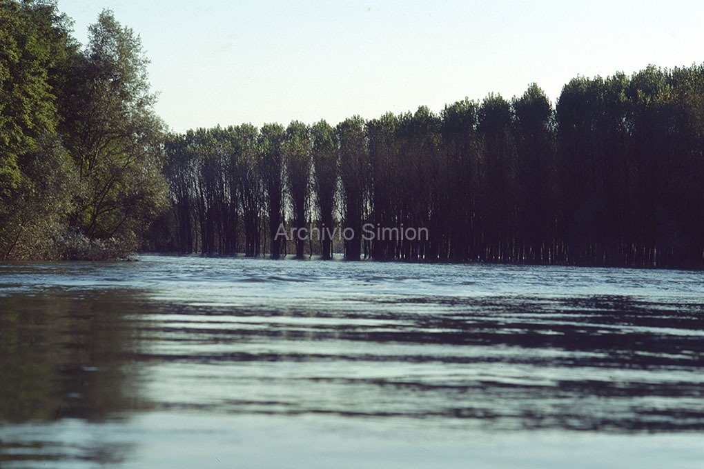 Archivio-Simion-Acqua-01
