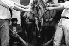 Hermann Nitsch. "Orgien Mysterien Theater", Azione n53. Teatro Out Off, Milano 1976